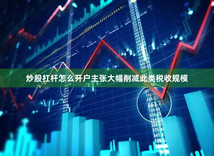 炒股杠杆怎么开户主张大幅削减此类税收规模
